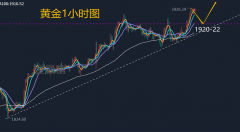 1.20黄金为何暴涨？黄金收官还能延续涨势？