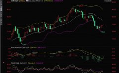 中东紧张局势缓和，金价跳空低开！关注能否守住2335美元支撑