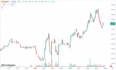 兴业投资：美国核心 CPI 低于预期黄金续涨，WTI 原油重返 80 美元上方