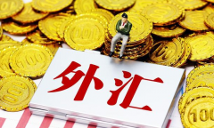 兴业投资交易平台：保住利润 外汇投资如何止赢