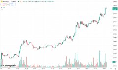 兴业投资：黄金首次突破 2900 美元关口，原油期货收涨超 1%