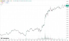 兴业外汇：黄金飙升再刷新历史高点，原油收跌超 1%